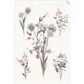 Picture of Wall flowers I _GroupedProduct_Rectangle_Portrait_Unframed_Print_Only_