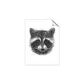 Picture of Raccoon Sketch _GroupedProduct_Rectangle_Portrait_Unframed_Print_Only_