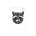Picture of Raccoon Sketch _GroupedProduct_Rectangle_Portrait_Unframed_Print_Only_