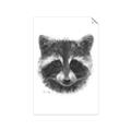 Picture of Raccoon Sketch _GroupedProduct_Rectangle_Portrait_Unframed_Print_Only_