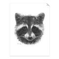 Picture of Raccoon Sketch _GroupedProduct_Rectangle_Portrait_Unframed_Print_Only_