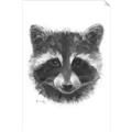 Picture of Raccoon Sketch _GroupedProduct_Rectangle_Portrait_Unframed_Print_Only_