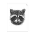 Picture of Raccoon Sketch _GroupedProduct_Rectangle_Portrait_Unframed_Print_Only_