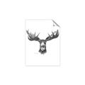Picture of Moose Sketch _GroupedProduct_Rectangle_Portrait_Unframed_Print_Only_