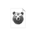 Picture of Bear Sketch _GroupedProduct_Rectangle_Portrait_Unframed_Print_Only_