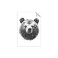 Picture of Bear Sketch _GroupedProduct_Rectangle_Portrait_Unframed_Print_Only_