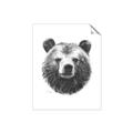 Picture of Bear Sketch _GroupedProduct_Rectangle_Portrait_Unframed_Print_Only_