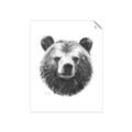 Picture of Bear Sketch _GroupedProduct_Rectangle_Portrait_Unframed_Print_Only_