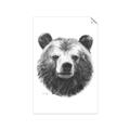 Picture of Bear Sketch _GroupedProduct_Rectangle_Portrait_Unframed_Print_Only_