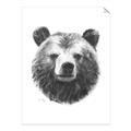 Picture of Bear Sketch _GroupedProduct_Rectangle_Portrait_Unframed_Print_Only_