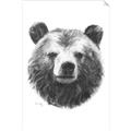 Picture of Bear Sketch _GroupedProduct_Rectangle_Portrait_Unframed_Print_Only_
