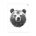 Picture of Bear Sketch _GroupedProduct_Rectangle_Portrait_Unframed_Print_Only_