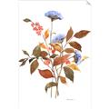 Picture of Violets and reds I _GroupedProduct_Rectangle_Portrait_Unframed_Print_Only_