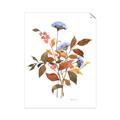 Picture of Violets and reds I _GroupedProduct_Rectangle_Portrait_Unframed_Print_Only_