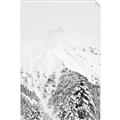 Picture of Snowy Treetops _GroupedProduct_Rectangle_Portrait_Photography _GroupedProduct_Rectangle_Portrait_Unframed_Print_Only_