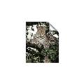 Picture of Lurking Cheetah _GroupedProduct_Rectangle_Portrait_Unframed_Print_Only_