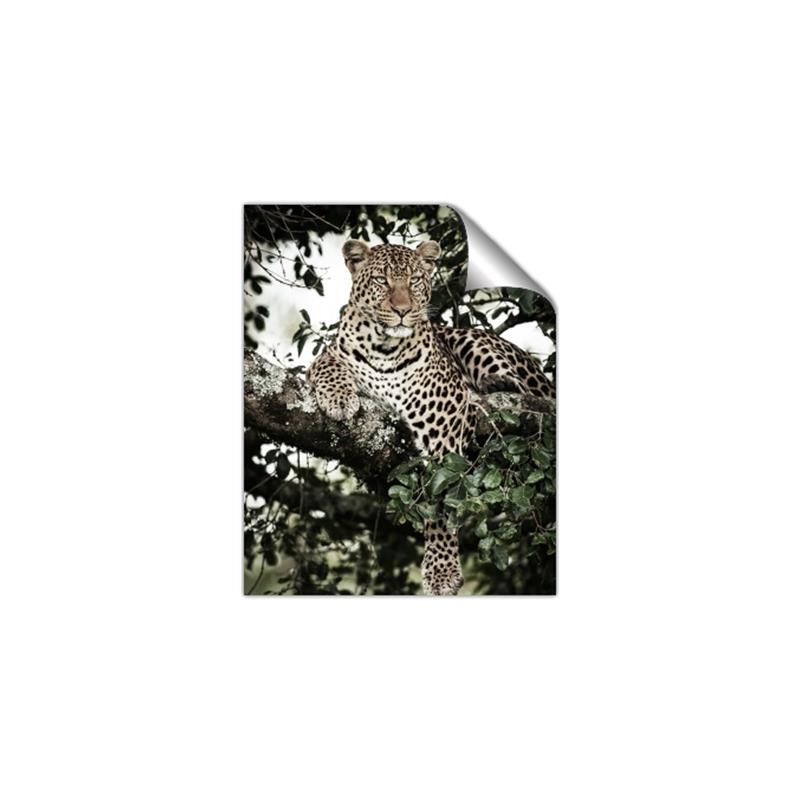 Picture of Lurking Cheetah _GroupedProduct_Rectangle_Portrait_Unframed_Print_Only_