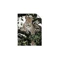 Picture of Lurking Cheetah _GroupedProduct_Rectangle_Portrait_Unframed_Print_Only_