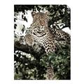 Picture of Lurking Cheetah _GroupedProduct_Rectangle_Portrait_Unframed_Print_Only_