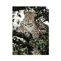 Picture of Lurking Cheetah _GroupedProduct_Rectangle_Portrait_Unframed_Print_Only_