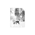 Picture of Moose in the snow _GroupedProduct_Rectangle_Portrait_Photography _GroupedProduct_Rectangle_Portrait_Unframed_Print_Only_
