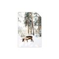 Picture of Moose in the snow _GroupedProduct_Rectangle_Portrait_Photography _GroupedProduct_Rectangle_Portrait_Unframed_Print_Only_