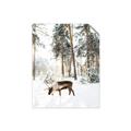 Picture of Moose in the snow _GroupedProduct_Rectangle_Portrait_Photography _GroupedProduct_Rectangle_Portrait_Unframed_Print_Only_