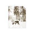 Picture of Moose in the snow _GroupedProduct_Rectangle_Portrait_Photography _GroupedProduct_Rectangle_Portrait_Unframed_Print_Only_