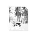 Picture of Moose in the snow _GroupedProduct_Rectangle_Portrait_Photography _GroupedProduct_Rectangle_Portrait_Unframed_Print_Only_