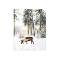 Picture of Moose in the snow _GroupedProduct_Rectangle_Portrait_Photography _GroupedProduct_Rectangle_Portrait_Unframed_Print_Only_