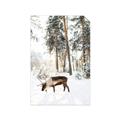 Picture of Moose in the snow _GroupedProduct_Rectangle_Portrait_Photography _GroupedProduct_Rectangle_Portrait_Unframed_Print_Only_