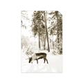 Picture of Moose in the snow _GroupedProduct_Rectangle_Portrait_Photography _GroupedProduct_Rectangle_Portrait_Unframed_Print_Only_