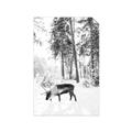 Picture of Moose in the snow _GroupedProduct_Rectangle_Portrait_Photography _GroupedProduct_Rectangle_Portrait_Unframed_Print_Only_