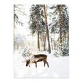 Picture of Moose in the snow _GroupedProduct_Rectangle_Portrait_Photography _GroupedProduct_Rectangle_Portrait_Unframed_Print_Only_