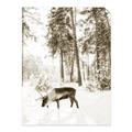 Picture of Moose in the snow _GroupedProduct_Rectangle_Portrait_Photography _GroupedProduct_Rectangle_Portrait_Unframed_Print_Only_
