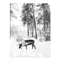 Picture of Moose in the snow _GroupedProduct_Rectangle_Portrait_Photography _GroupedProduct_Rectangle_Portrait_Unframed_Print_Only_