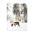 Picture of Moose in the snow _GroupedProduct_Rectangle_Portrait_Photography _GroupedProduct_Rectangle_Portrait_Unframed_Print_Only_