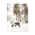 Picture of Moose in the snow _GroupedProduct_Rectangle_Portrait_Photography _GroupedProduct_Rectangle_Portrait_Unframed_Print_Only_