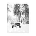 Picture of Moose in the snow _GroupedProduct_Rectangle_Portrait_Photography _GroupedProduct_Rectangle_Portrait_Unframed_Print_Only_
