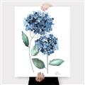 Picture of Blue Hydrangeas I _GroupedProduct_Rectangle_Portrait_Canvas_
