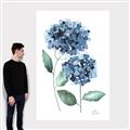 Picture of Blue Hydrangeas I _GroupedProduct_Rectangle_Portrait_Canvas_