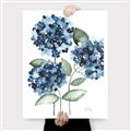 Picture of Blue Hydrangeas II _GroupedProduct_Rectangle_Portrait_Canvas_
