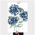 Picture of Blue Hydrangeas II _GroupedProduct_Rectangle_Portrait_Canvas_
