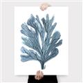 Picture of Blue Tree II _GroupedProduct_Rectangle_Portrait_Canvas_