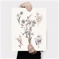 Picture of Wall flowers I _GroupedProduct_Rectangle_Portrait_Canvas_