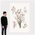 Picture of Wall flowers IV _GroupedProduct_Rectangle_Portrait_Canvas_