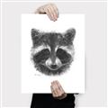 Picture of Raccoon Sketch _GroupedProduct_Rectangle_Portrait_Canvas_