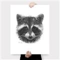 Picture of Raccoon Sketch _GroupedProduct_Rectangle_Portrait_Canvas_
