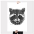 Picture of Raccoon Sketch _GroupedProduct_Rectangle_Portrait_Canvas_