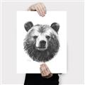 Picture of Bear Sketch _GroupedProduct_Rectangle_Portrait_Canvas_